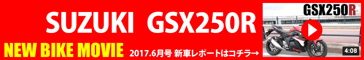 スズキ GSX250 FX